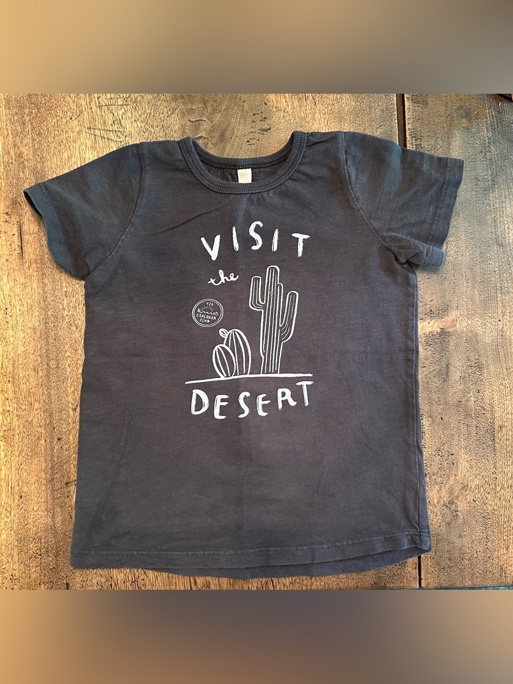 EUC Childhoods Clothing Visit the Desert Gray Tee Shirt Size 4T.